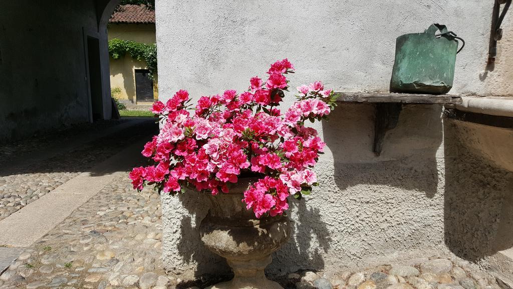 Robecco sul Naviglio Borgo Archinto 아파트 외부 사진