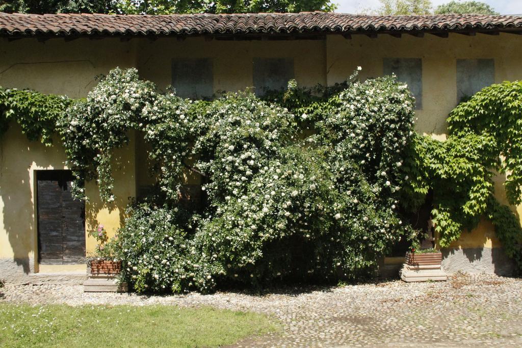 Robecco sul Naviglio Borgo Archinto 아파트 외부 사진
