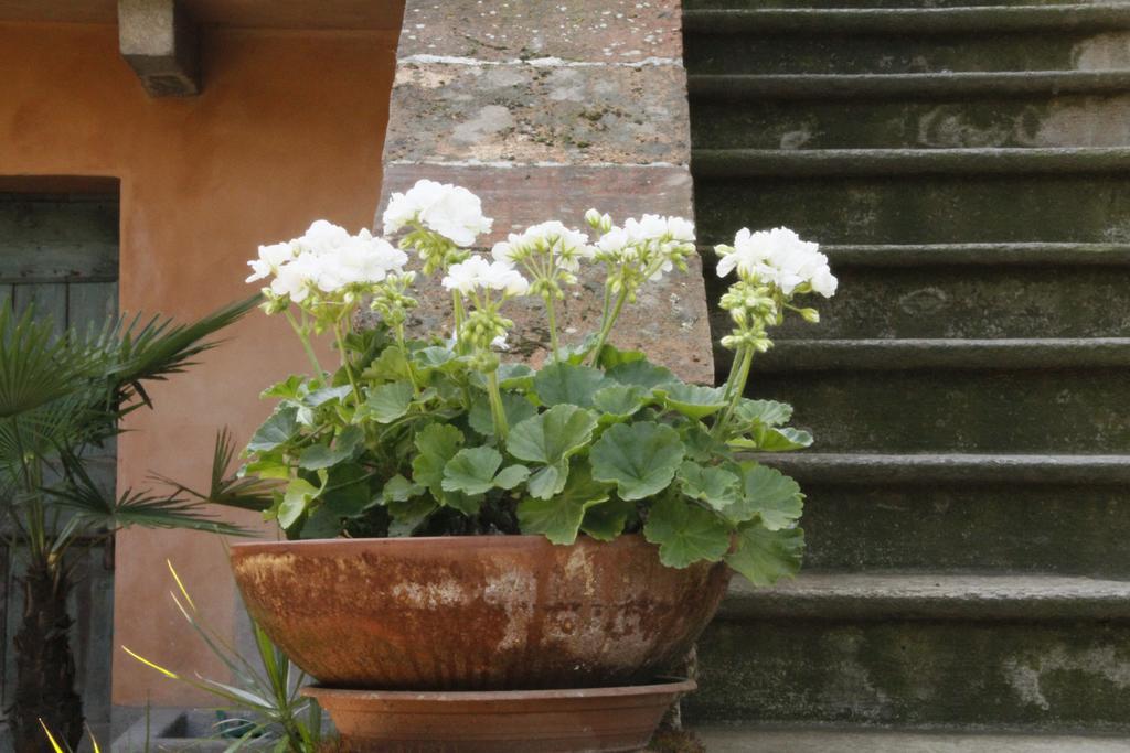 Robecco sul Naviglio Borgo Archinto 아파트 외부 사진