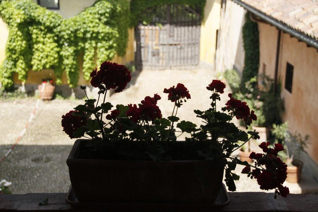Robecco sul Naviglio Borgo Archinto 아파트 외부 사진